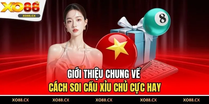 Giới thiệu chung về cách soi cầu xỉu chủ cực hay