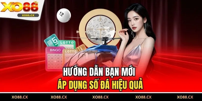 Hướng dẫn bạn mới áp dụng số đá hiệu quả