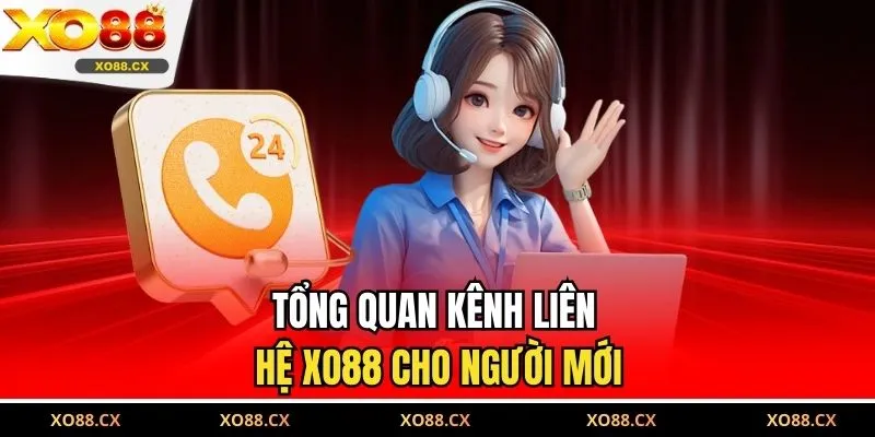 Tổng quan kênh liên hệ XO88 cho người mới